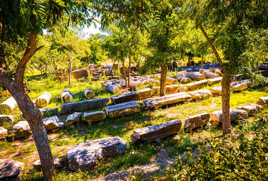 Troya Antik kenti kalıntıları ve sedir ağaçları, Çanakkale Türkiye